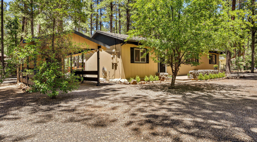 Front Driveway
