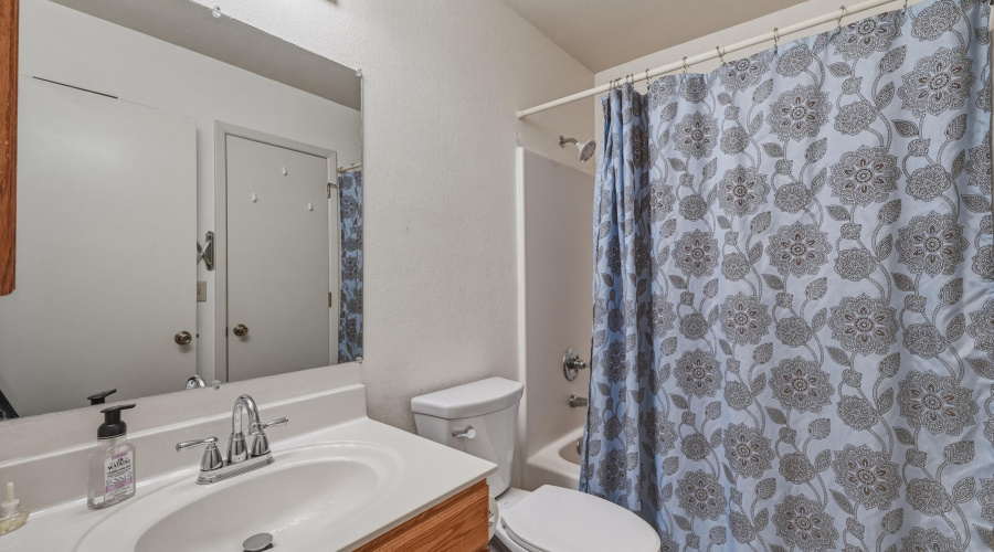 17 guest bath