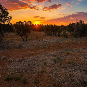 APN10637289-Vernon-AZ-20