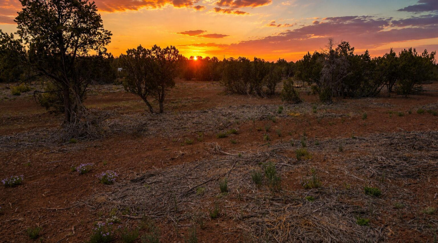 APN10637289-Vernon-AZ-20