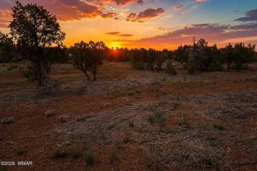 28 N3128, Vernon, Arizona 85940, ,Land,For Sale,N3128,261357