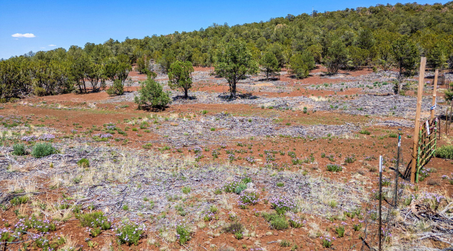 APN10637289-Vernon-AZ-2