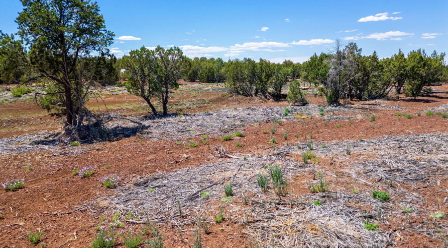 APN10637289-Vernon-AZ-1