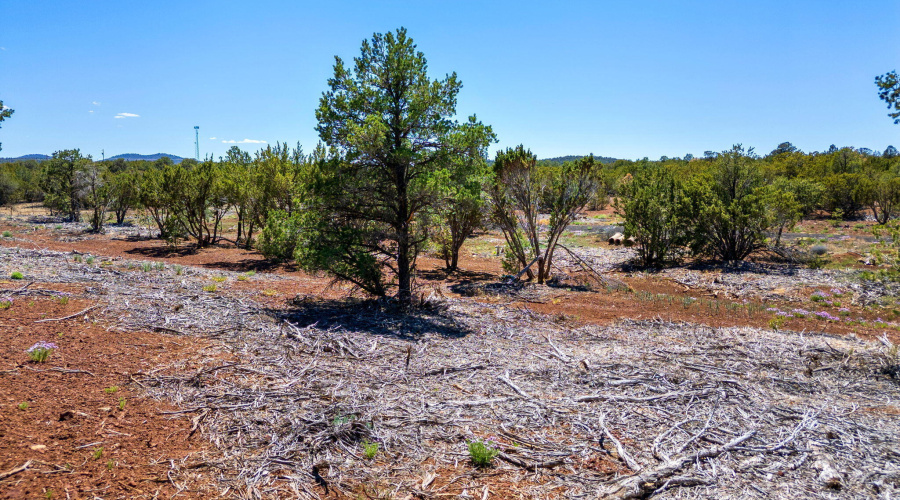 APN10637289-Vernon-AZ-3