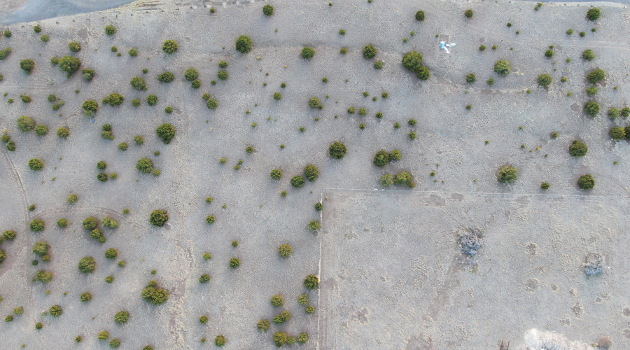 DJI_0582