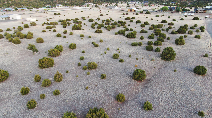 DJI_0588
