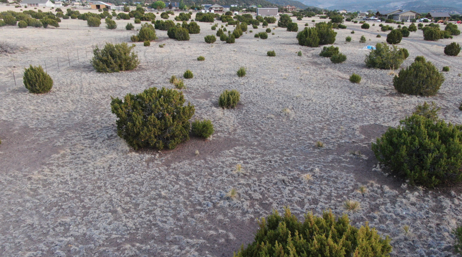 DJI_0590