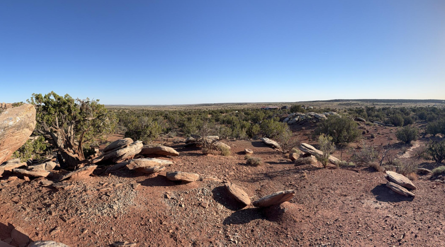 Panoramic East