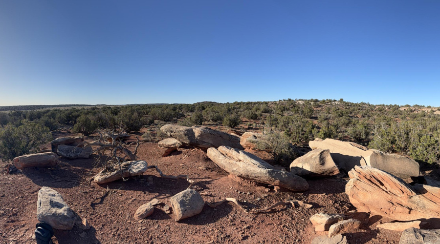 Panoramic South