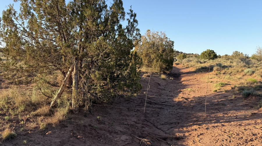 access cattle gate at Justin Lane