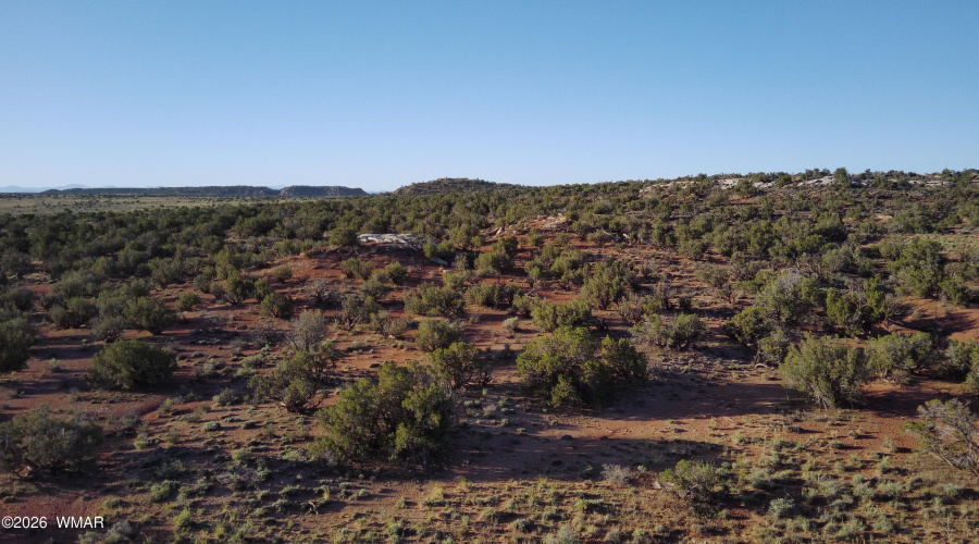 View towards the south