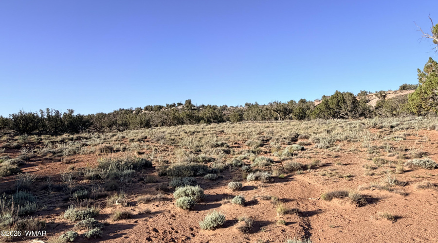 A grass area, approx. 0.5 acres.