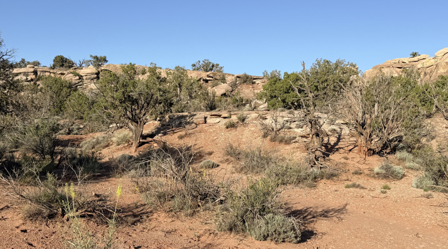 3791 Anazasi Rd., Snowflake, AZ
