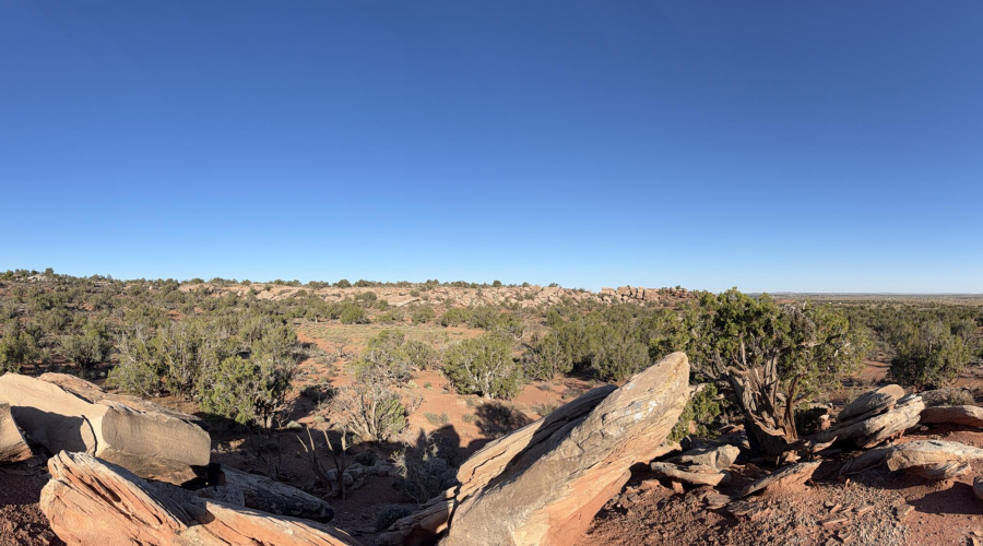 Panoramic North