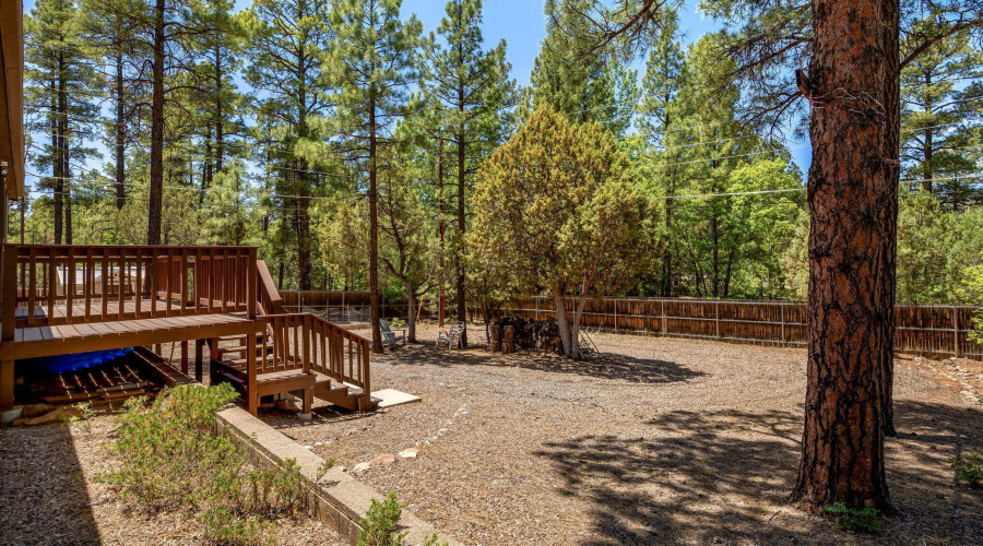 400N43Dr-ShowLow-AZ-27