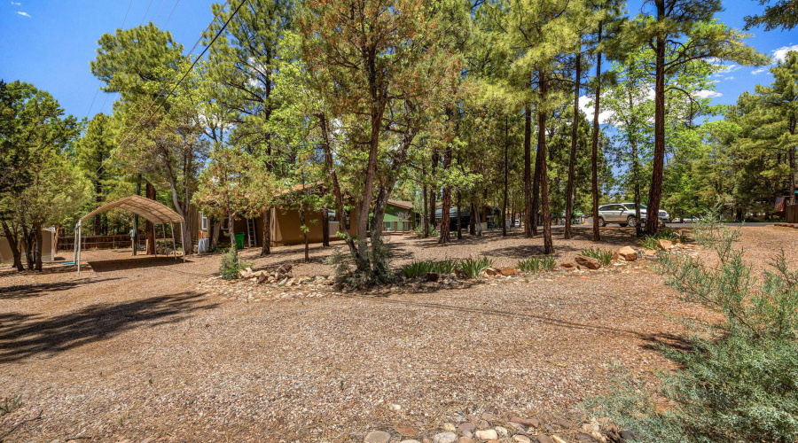 400N43Dr-ShowLow-AZ-2