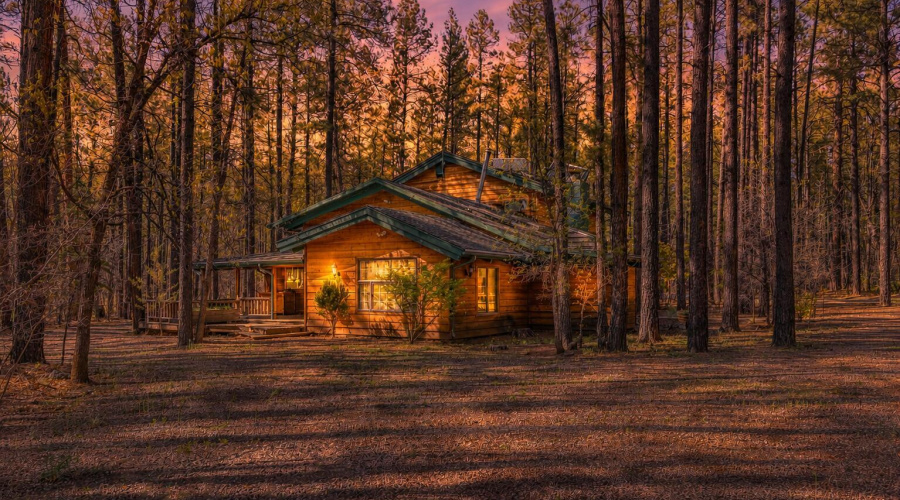 Twilight Front