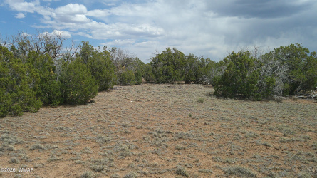 TBD Show Low Pines Lot 189, Concho, Arizona 85924, ,Land,For Sale,Show Low Pines Lot 189,261361