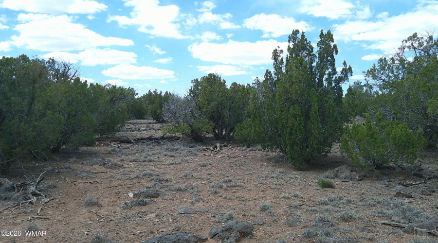 DSCF0019