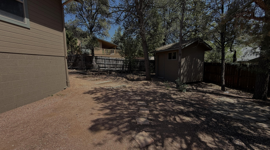 backyard 2