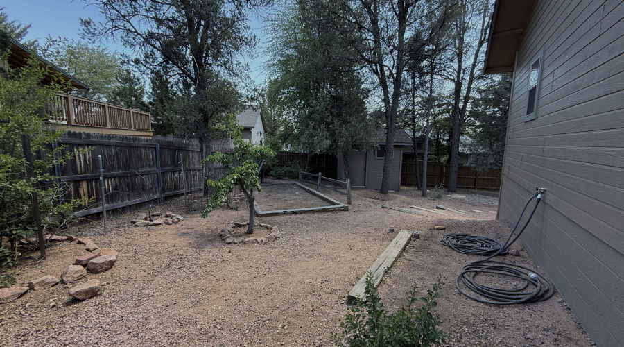 backyard 3