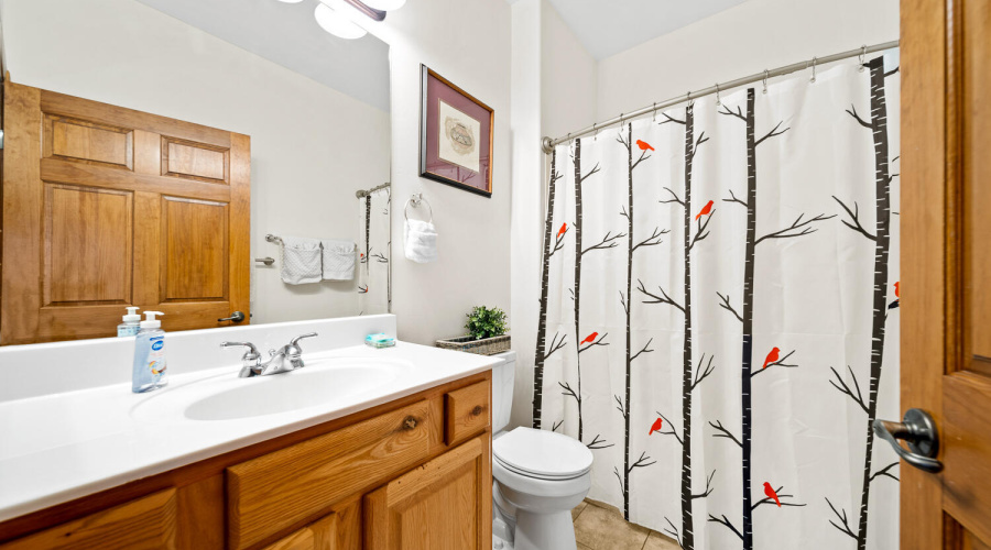 Guest Bathroom