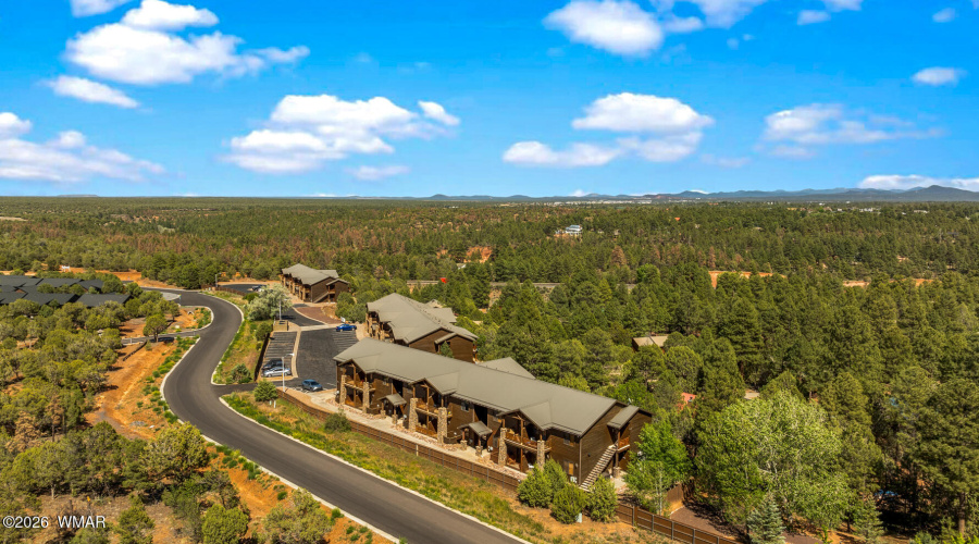 Bison Ridge Condo Ariel Views
