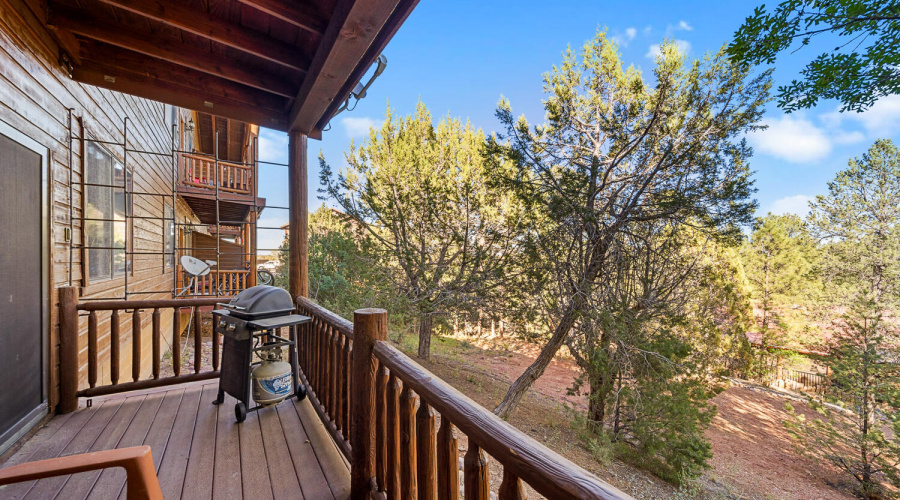 Balcony Views Off Living Room