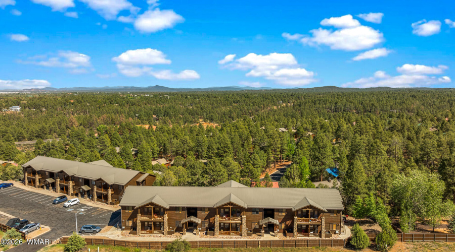 Bison Ridge Condo Ariel Views