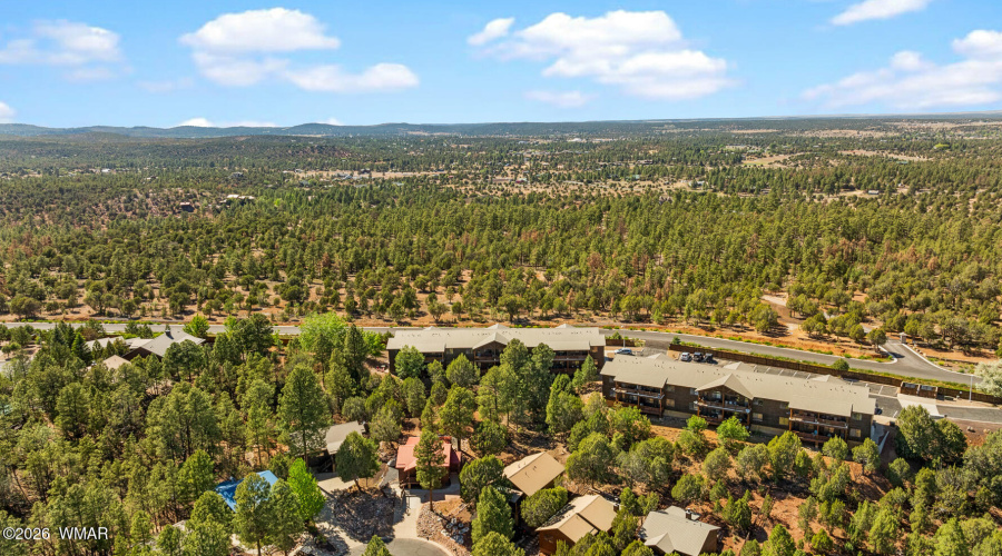 Bison Ridge Condo Ariel Views