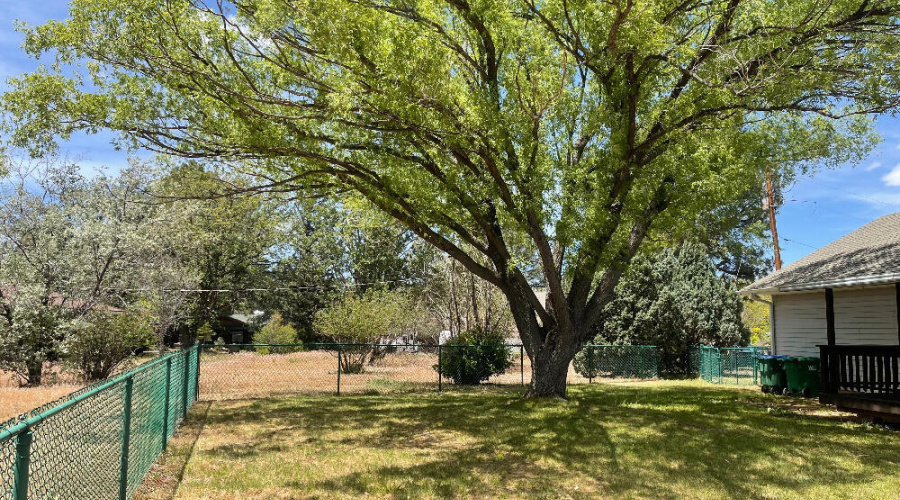 1541 N Fairway Dr Rear 3