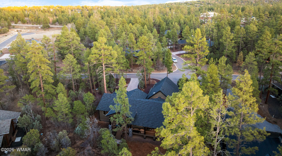 Overhead View