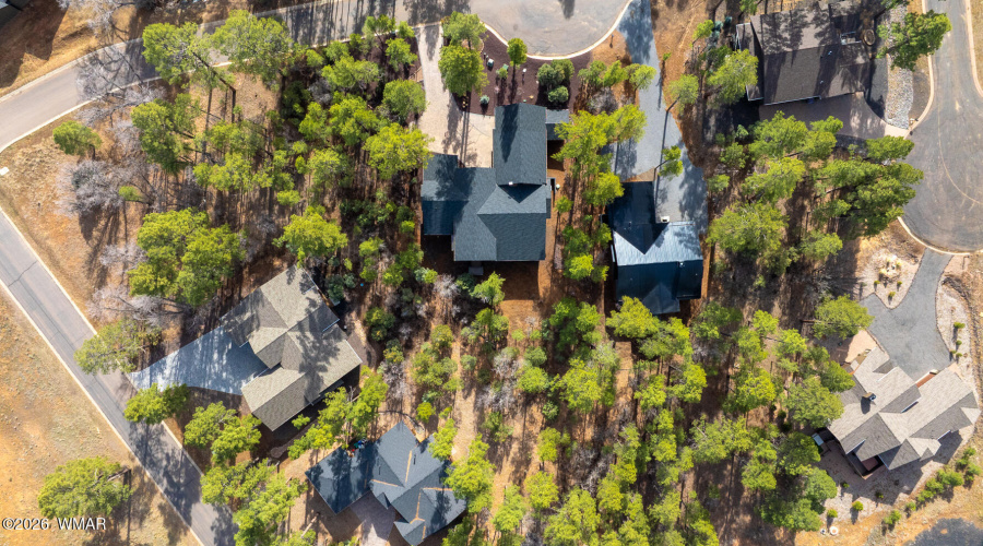 Overhead View