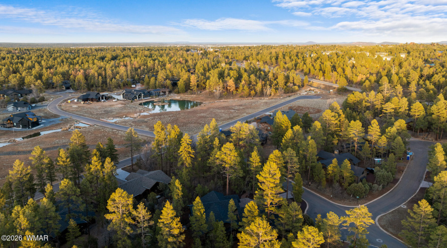 Overhead View