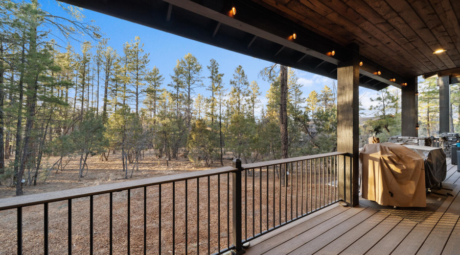 Back Deck View