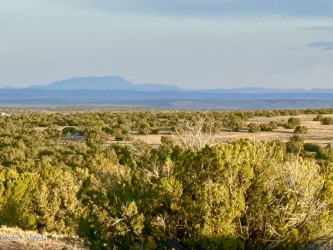 TBD Co Rd N7120 40 Acres, St. Johns, Arizona 85936, ,Land,For Sale,Co Rd N7120 40 Acres,261367