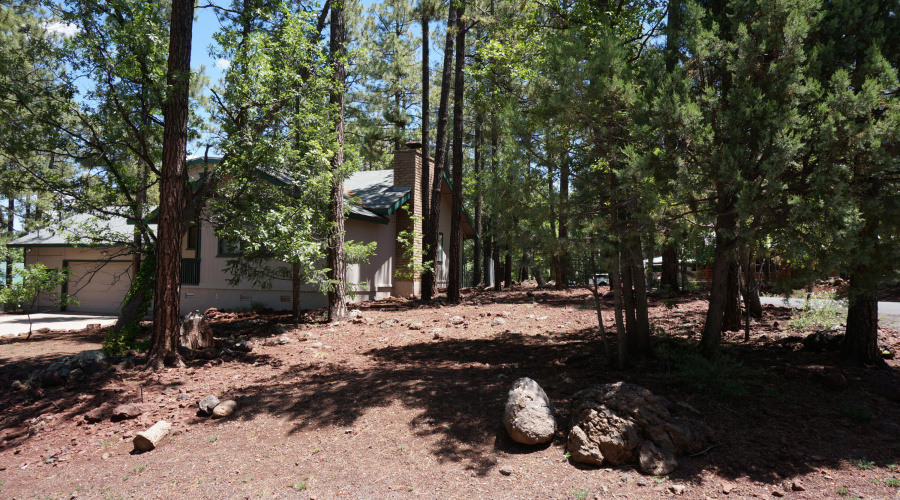 Front Yard