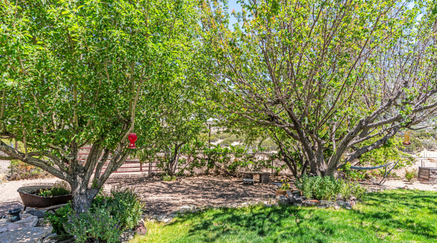 _DSC6112-HDR-Edit