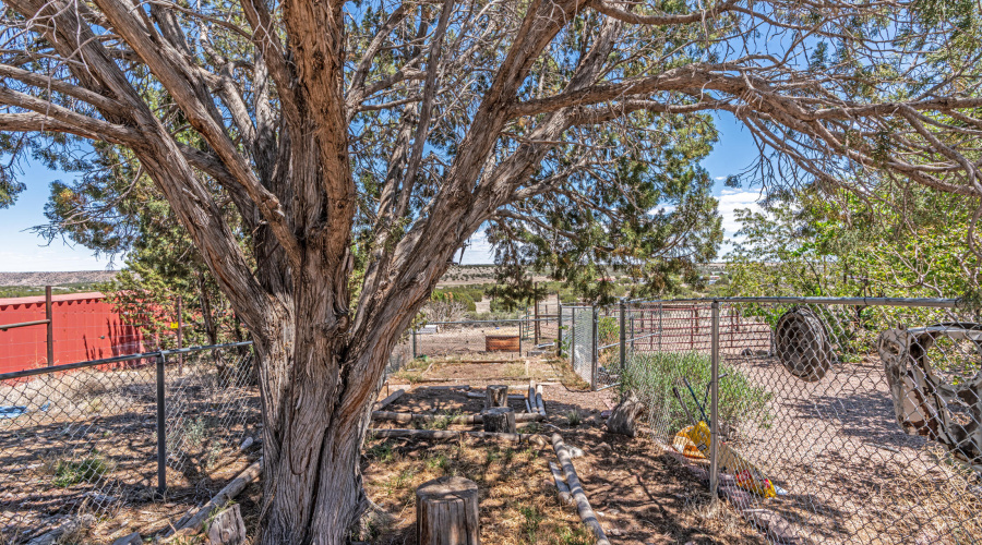 _DSC6137-HDR-Edit