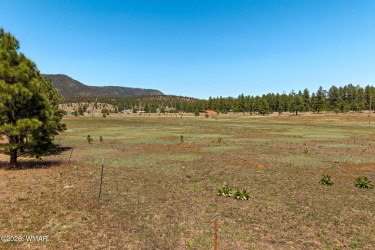 16 County Road 2089, Alpine, Arizona 85920, ,Land,For Sale,County Road 2089,261389