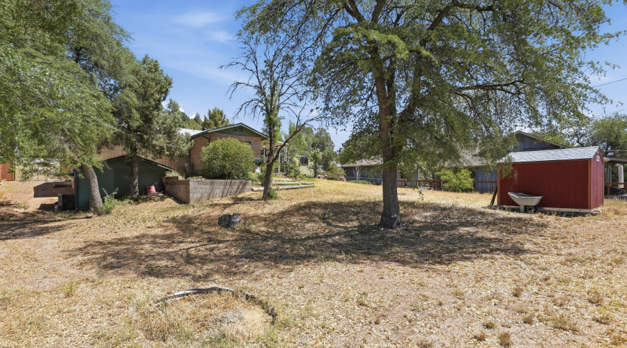 Yard (3)