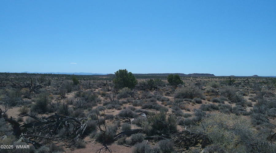 DSCF0010