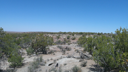 8581 Justin Lane, Snowflake, Arizona 85937, ,Land,For Sale,Justin,255402