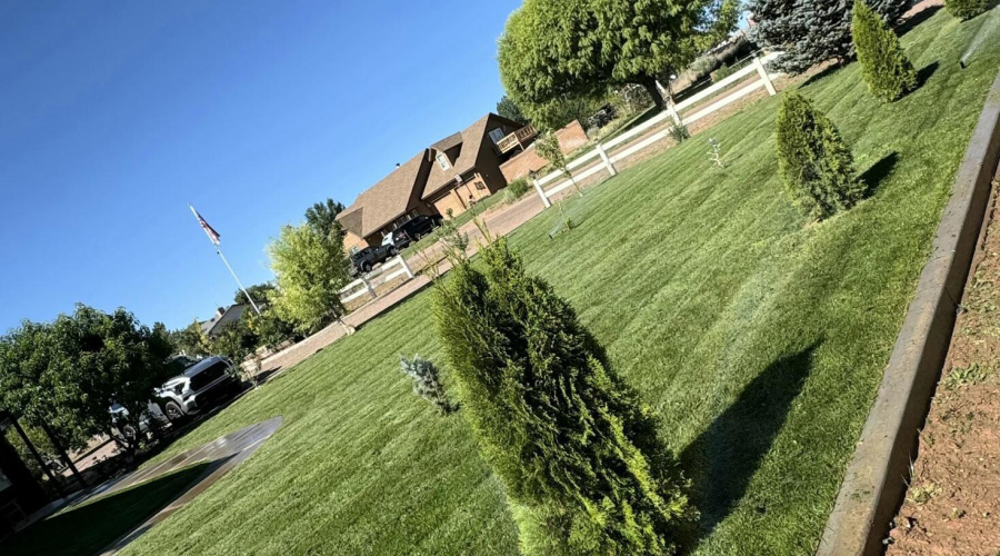 Green Carpet