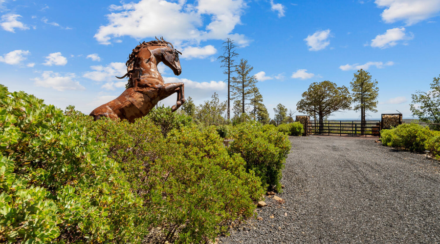 Horse Statues
