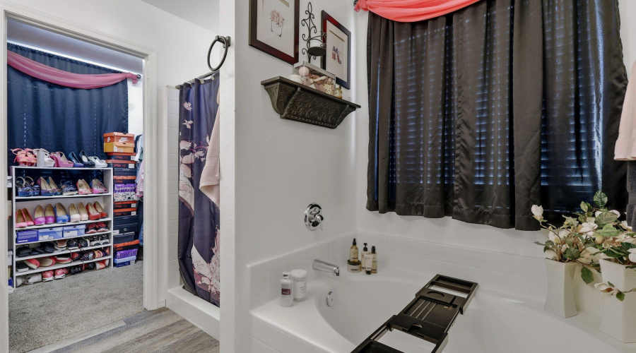 40NCanyonLoop-ShowLow-AZ-16
