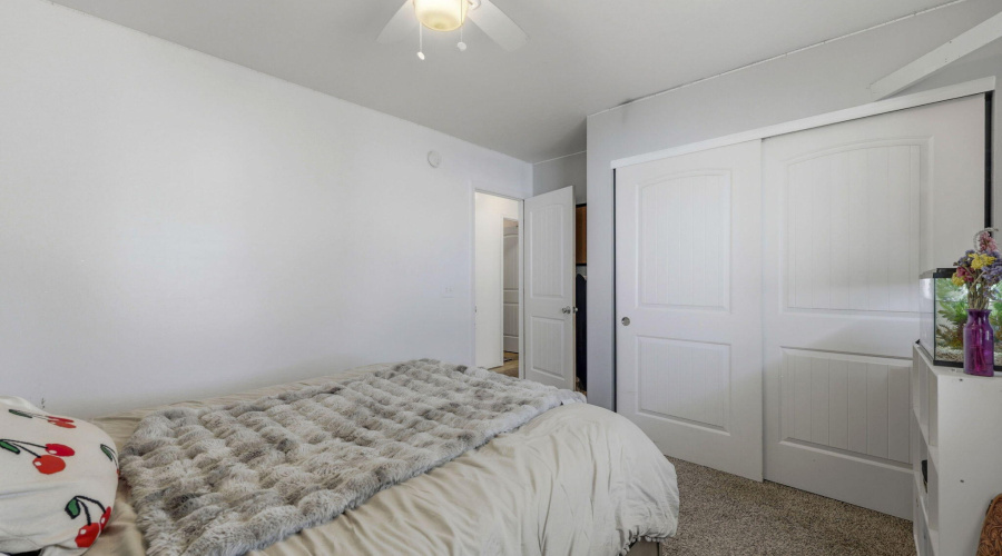 40NCanyonLoop-ShowLow-AZ-22