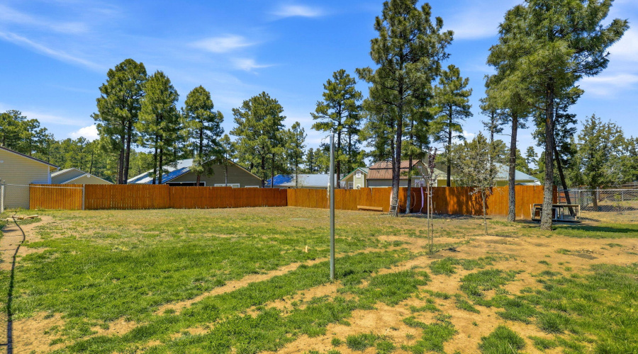 40NCanyonLoop-ShowLow-AZ-28