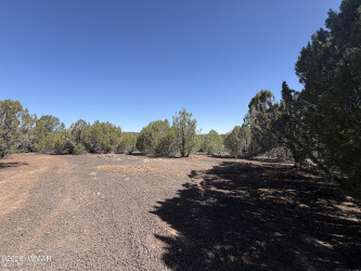 lot 199 Road, Vernon, Arizona 85940, ,Land,For Sale,199,261397