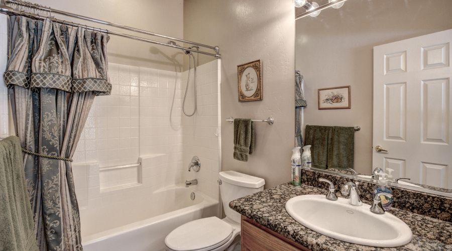 Guest Full Bathroom